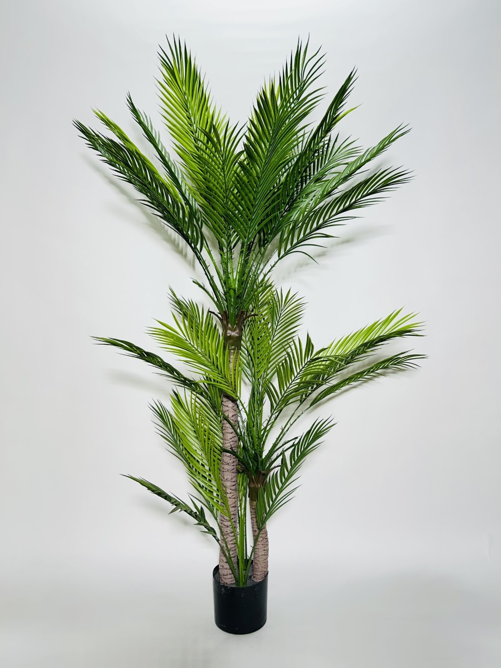 TEXNITO DIAKOSMITIKO FYTO KENTIA YPSOS 1,50 M