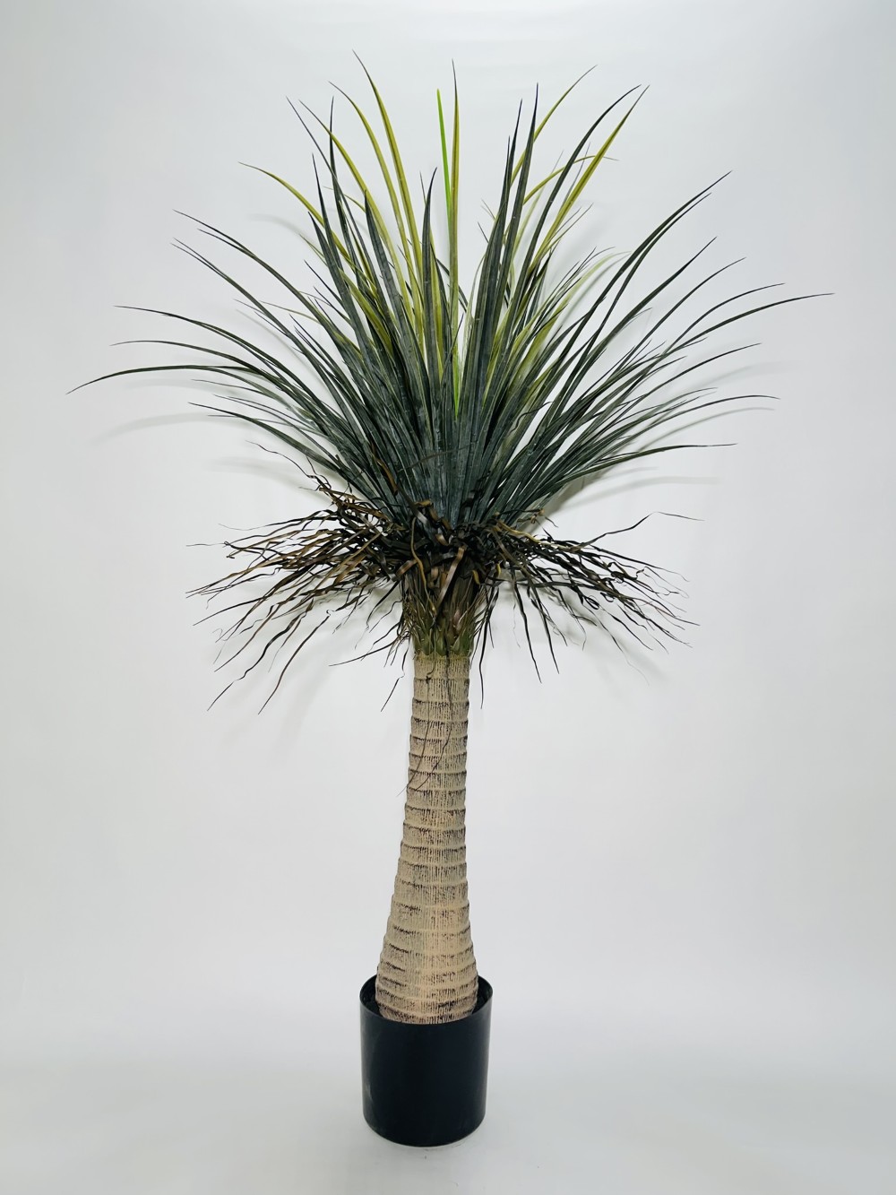 IMG_6592 TEXNITO DIAKOSMITIKO FYTO TILANSIA YPSOS 1,50 M