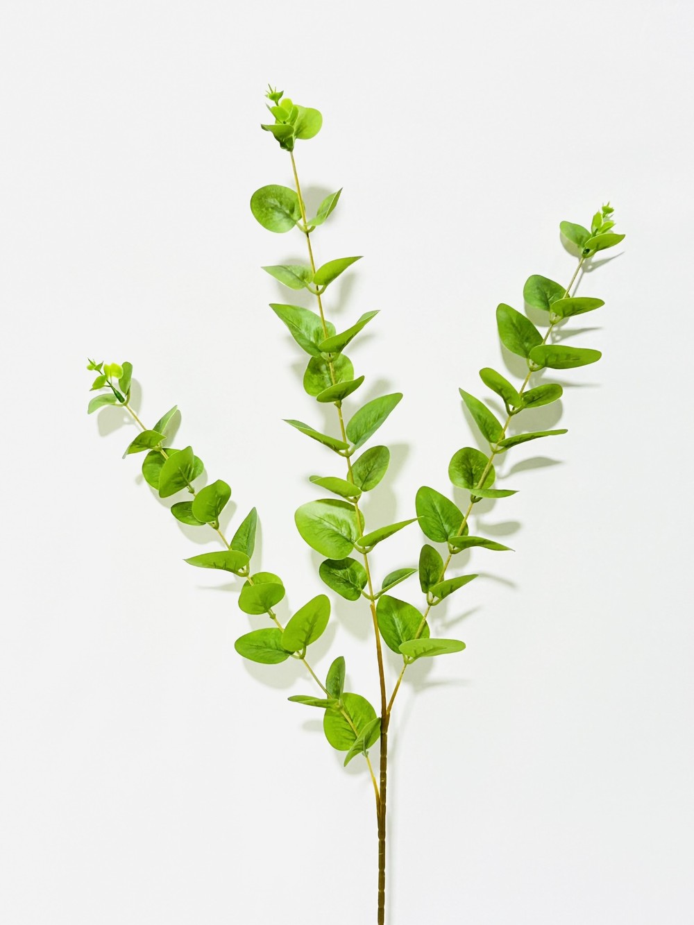 DIAKOSMITIKO TEXNITO KLARI EFKALYPTOU MIKOUS 80 ek